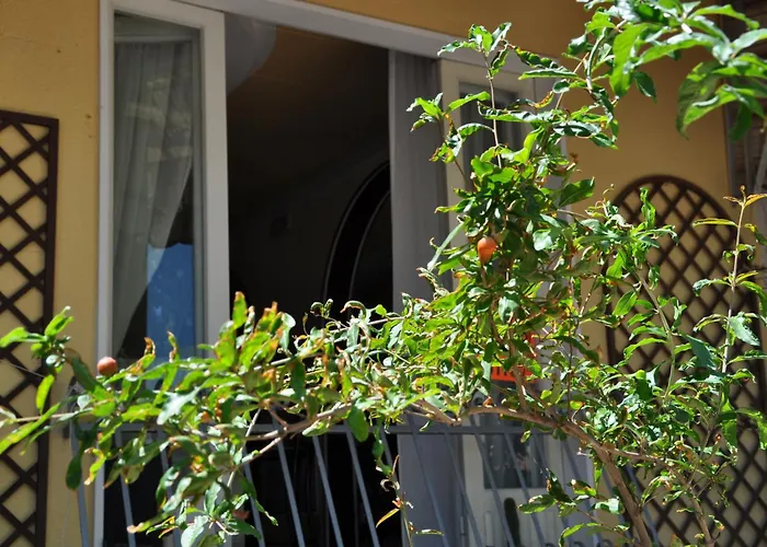 Hotel Corallo Garnì Cattolica